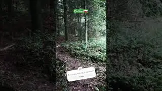 #fantasyforest #nature #rain #poland #krakow #rabka #rabkazdroj
