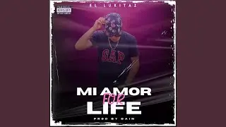 MIAMOR FOR LIFE