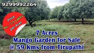 7 Acres Mango Garden for Sale @ 59 Kms from Tirupathi