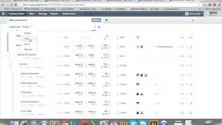 Easy Projects v9 Quick Preview