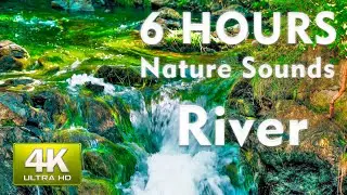 4K Relaxing River Sounds 6 Hours