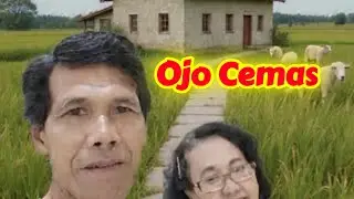 Ojo Cemas #lagujawa #congdut #campursari #lagubaru
