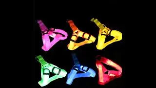 Illuminated Dog Harness
