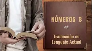 N&uacute;meros 8 TLA Video Biblia