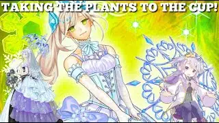 Meta Is Not Welcomed In Our Garden! Aromage Rikka Combo Deck Guide/Deck Profile | Yugioh Master Duel