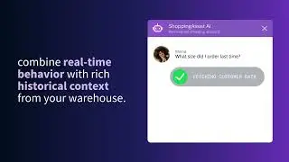 Snowplow Real-Time Customer Data Infrastructure