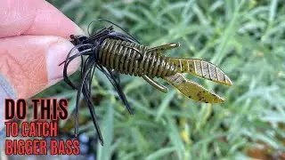 THE BEST MICRO BASS BAIT ON THE MARKET