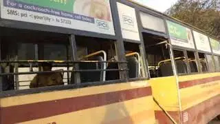 Bus day Chennai