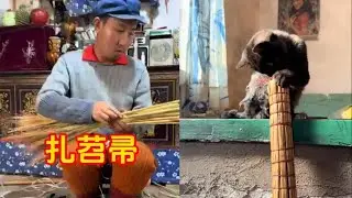 房子脏了，教你这样做#food #funny #delicious #美食分享日常