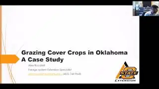 Grazing Cover Crops in Oklahoma: A Case Study