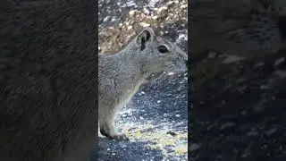 Moc&oacute;... Ele &eacute; chegado a um milhinho.