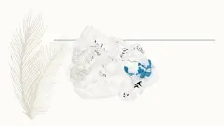 Nurse Practice Act with Audio