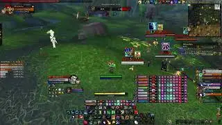 Druid Heal BG Ravina Brado Guerreiro, Dragonflight