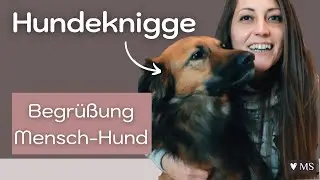 Hundeknigge ▶ Begrüßung Mensch-Hund #01