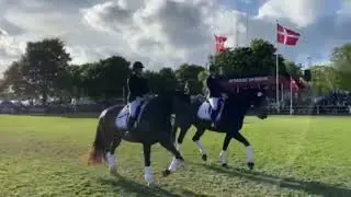 Roskilde Dyrskue 2022 - hesteshow