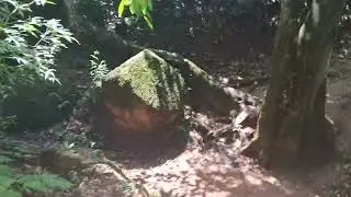 TRILHA NO CAMPING CABREUVA  UMA DELÍCIA !!!