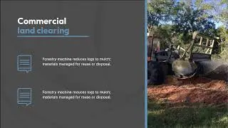 Professional Land Clearing Services in Brisbane &ndash; ABC Tree Lopping Brisbane