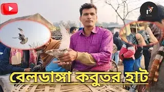 বেলডাঙ্গা বিখ্যাত কবুতরের হাট Beldanga is the famous pigeon market