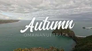 Omawanui  autumn