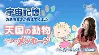 #17「感動」宇宙記憶のある9才が語った天国の動物たち