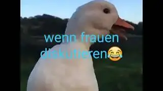 Wenn Frauen diskutieren 😂