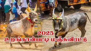 உறங்கான்பட்டி மஞ்சுவிரட்டு2025