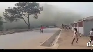 Swarm of insects in Mansa Zambia.