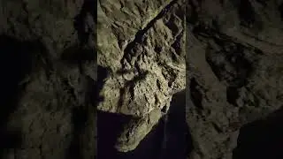 boat ride, underground lake, Austria 10