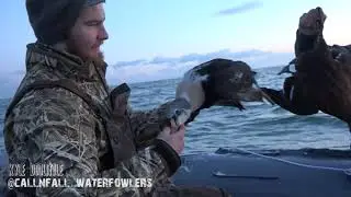 King Eider Adventures
