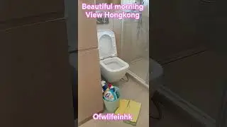 #прекрасныйутреннийвид #красивыйвдоме #жизнивдоме
