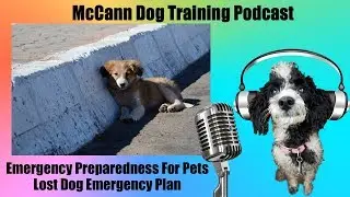 Emergency Preparedness For Pets - Lost Dog Emergency Plan - Dog Training Podcast