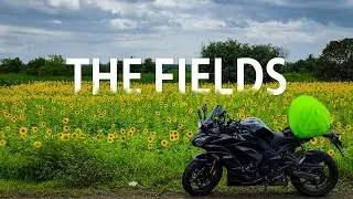 (4K) Pune to Bengaluru | Bonus Ride Vlog & Sunflower Magic on Ninja 1100SX #ninja1100sx #roadtrip