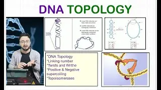 DNA Topology I Linking Number I DNA Supercoiling I ARS- Agri. Biotechnology| CSIR-JRF| ICAR-JRF/SRF