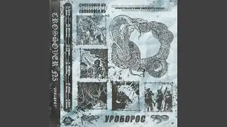 200