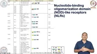 Pattern-recognition receptors-NLR & NLR Signaling pathways #swayamprabha #CH31SP