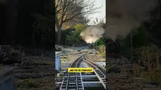 Steam effect goals with Roundhouse Bertie 'Redcroft No.2' #gardenrailway #gscale #tiktok #livesteam