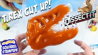 Dinosaur Dig Dissect It Lab Tyrannosaurus Rex Fossil Discover Kit Review