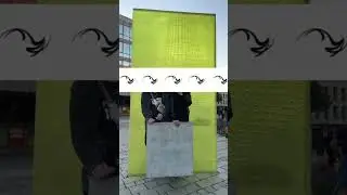 Noks x Kutten - Intro