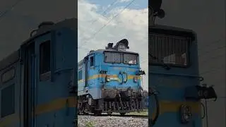Electric Powerhouse: WAG-7 in Action
