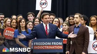 Indoctrination by cartoon? DeSantis&rsquo; latest attack on &lsquo;woke schools.&rsquo;