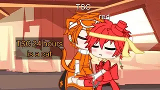 TSC 24 hours is a cat|AvM|⚠Ship⚠|