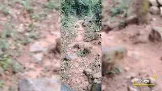 வனதுர்க்கை அம்மன் கோவில் செஞ்சி#trekking #naturelovers #சதுரகிரி #singletraveller