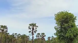 Nasib Hidup Orang Petani
