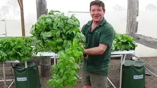 Harvesting the Large Salad Table
