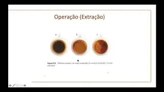 UM Coffee Co Academy - Aula 1: Breve História do Café (Parte 3)
