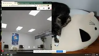 Split Screen on Laptop- Google Meet with Presentation/Class Materials
