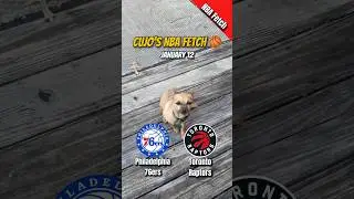 Cujo&rsquo;s NBA Fetch | Philadelphia 76ers vs Toronto Raptors 🐕 01-12-2026 NBA Basketball #CujoCatches