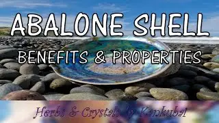 Abalone Shell Benefits and Properties