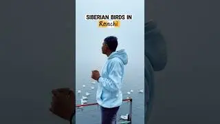 | Siberian Birds In Ranchi | Patratu Valley Jharkhand|New Picnic Spot 2026|#picnic#valley#new#birds