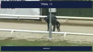 Sunderland Trials on 18th January 2026